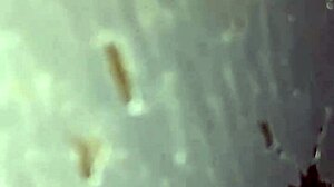 Latina takes on group in swing house gloryhole