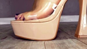 hotwives get wild with bbc bulls during spring break fling, big ass rough slut orgy sexy