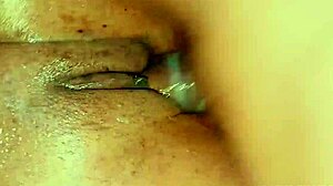 Ebony MILF Teen in Femdom Doggystyle Fucking with Fingering and Wet Pussy on Roadside