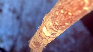 Witch's Outdoor Creampie With Monster Cock