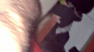 april 15th birthday surprise for me