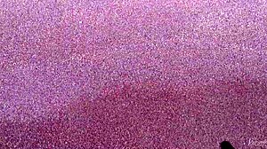 Gorgeous Teen Agnes Bathes Naked In Ocean