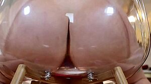 Musical Chairs Game With Music And Toys