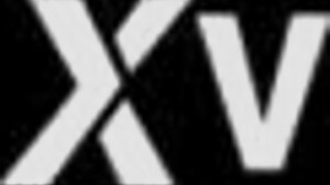 Group of shemale twins offers 2x1 escort coupon for intense threesome