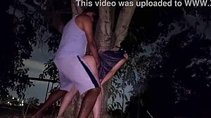 Transando em Público