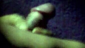 close-up paja in veracruz cyber cabins!