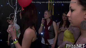 those slutty gals are sucking and fucking in a gangbang game