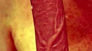 Depraved stepmother permits filming of her intimate riding session