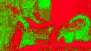 Passionate sex after birthday dinner