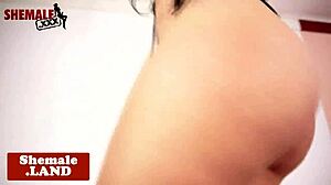 Beautiful ts babe masturbates solo