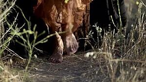 the king fucks the maid's pussy hard