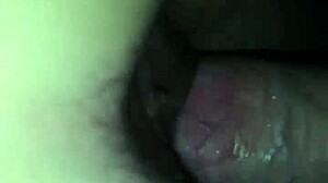 i bent my ex girlfriend over for intense doggystyle pov