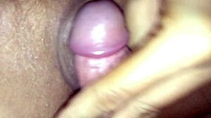 they engage in mutual masturbation, leading to creampie
