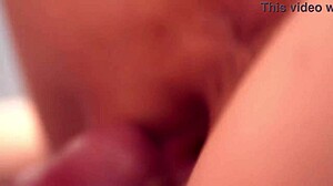 Doggy Style Shot with a Macro Lens