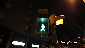 Dude jerked on sexy shemale