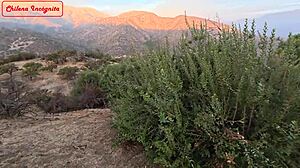 Terreno es vendido a cambio de trailer