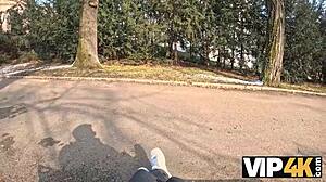 shy amalia davis gone wild