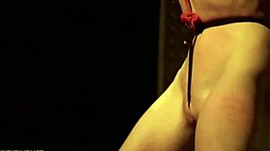 I'm Faithful Slave, Following Master On Leash