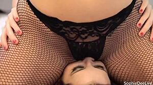 sophie dee pawg with big pussy lips