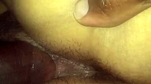 Redbone Reverse Cowgirl