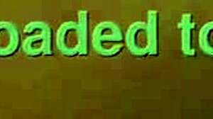 Doggy Style Shot with a Macro Lens