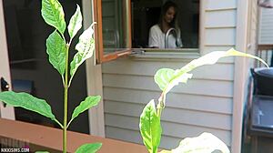 Nikki Fucked From Behind With Tits And Boobs 😏