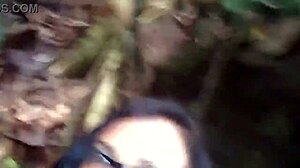 Nature Walk Adventure