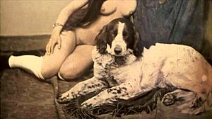 beauty beast vintage