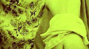 beauty beast vintage