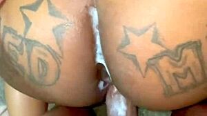 Basketball Player Fuck Compilation