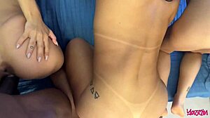 Grandes Paus Fodendo