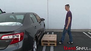 tranny facial sticky