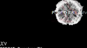 Slut fertilization cum!