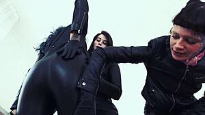 Office Leather Dynamics