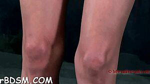 Gagged Babe's Cunt Pleasured