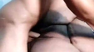 Update Petal Feature