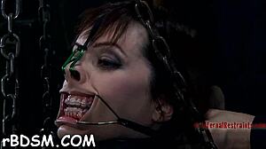 Gagged Babe's Cunt Pleasured