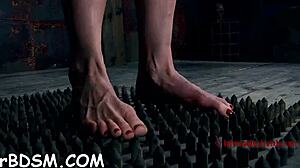 Gagged Babe's Cunt Pleasured