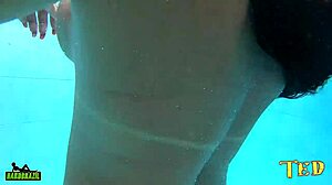 Ted's actress breaks