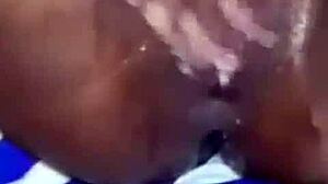 Festival Celebration