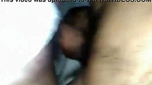 aurora estelar fucked hot