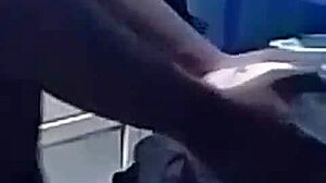 Festival Celebration