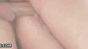 Dp Fanatics Compilation