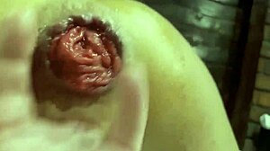 Monika Fox Prolapse Queen