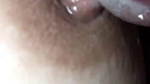 Saliva Capezzolo Play