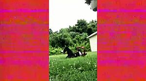 Perfect Masturbation Video