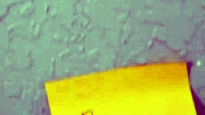 Office Threesome Bimbo