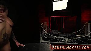 Youthful Tourists Adventure