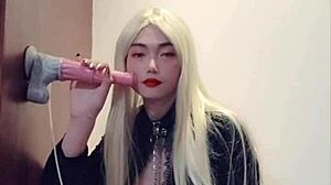 Big Cock Shemale Sex