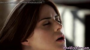 Glamorous Assfucking Doggystyle